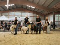 Siegertiere.JPG (71.07 KiB) 20558 mal betrachtet Siegertiere.JPG
