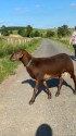 IMG_4744.jpeg