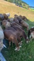 IMG_4889.jpeg