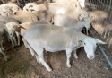 IMG_5111.jpeg