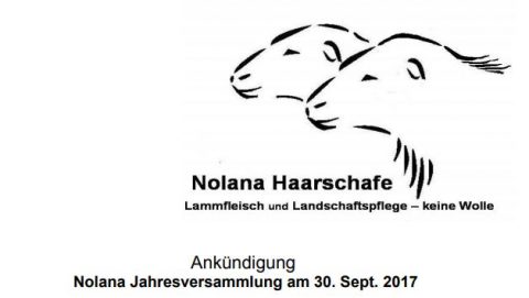 Ankündigung Programm 2017