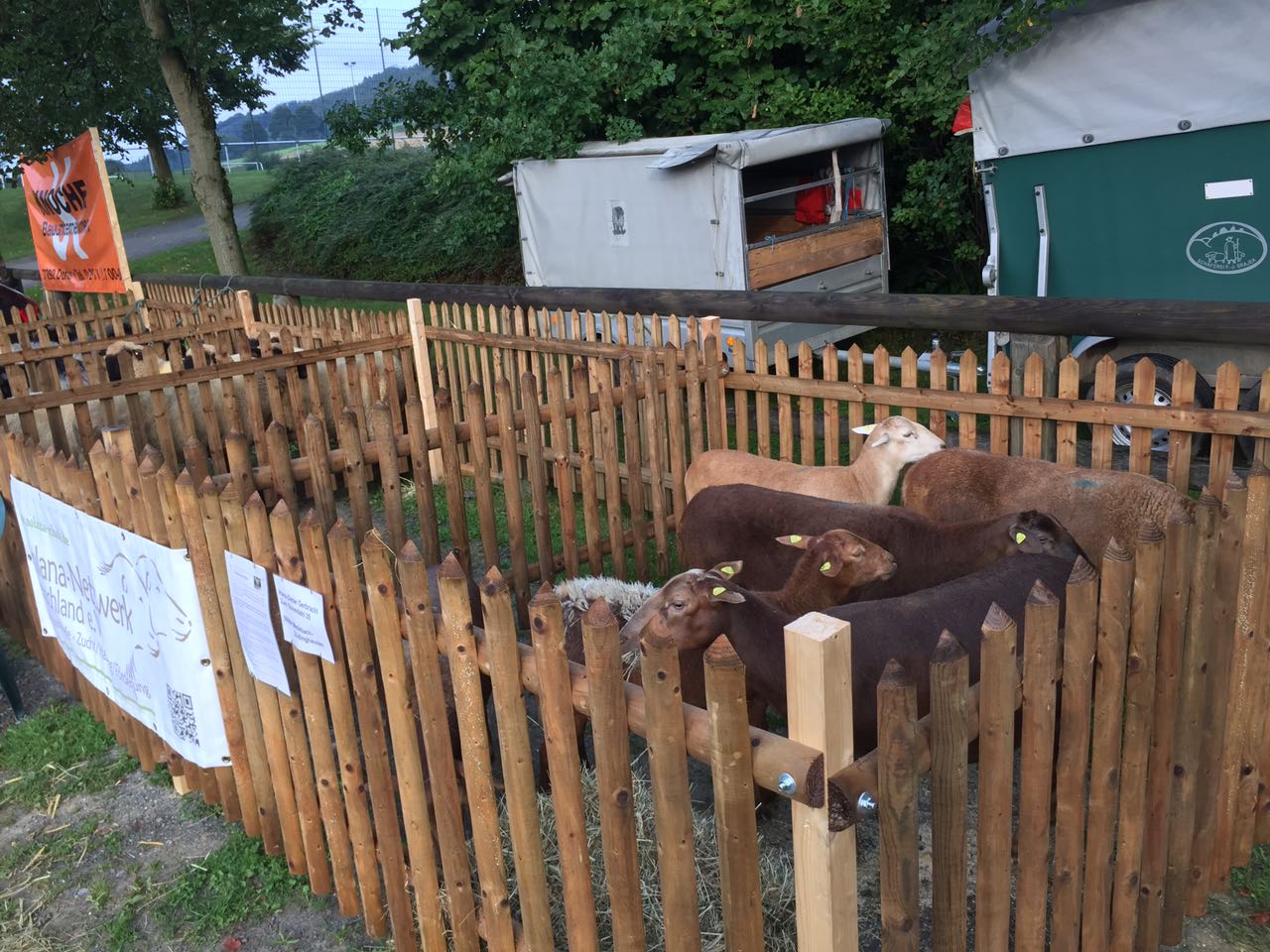 Ausstellung 26.08.2017